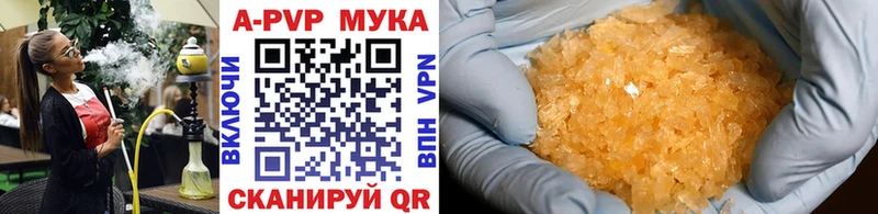 как найти Кологрив Alpha PVP СК КРИС
