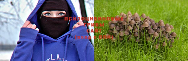 стафф Киренск