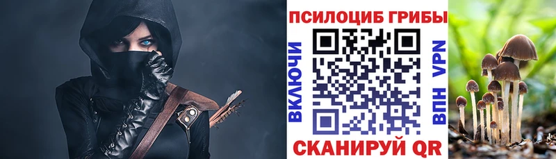 Псилоцибиновые грибы мицелий  Кологрив 